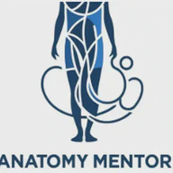 Anatomy Mentor